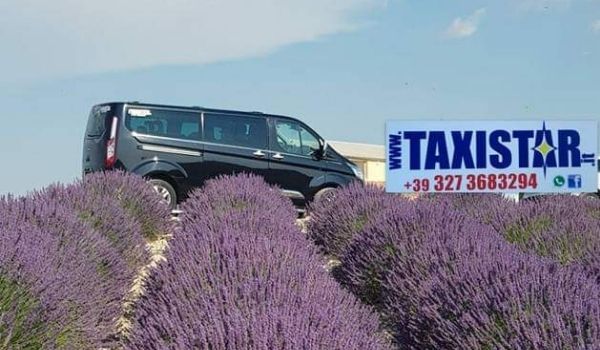 Campi-di-Lavanda-Francia-Transfer-con-minivan